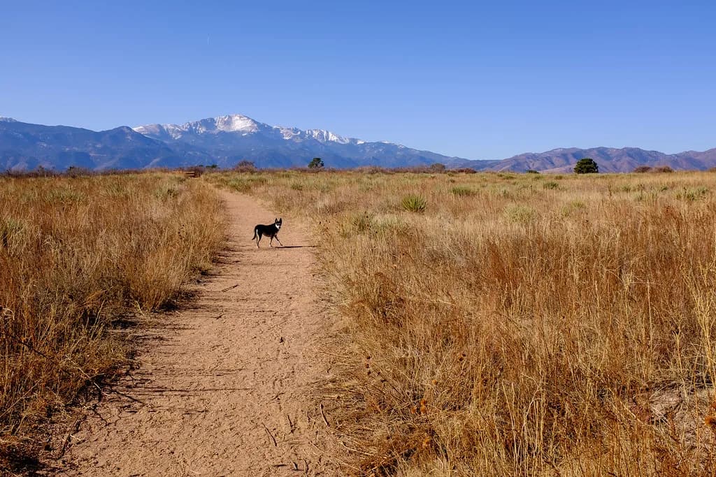 Colorado Springs, USA
